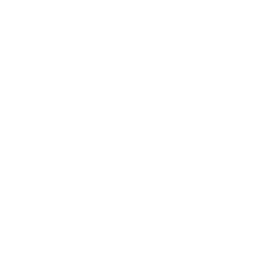 Prestige Logo Inverted for Dark Backgrounds (2)