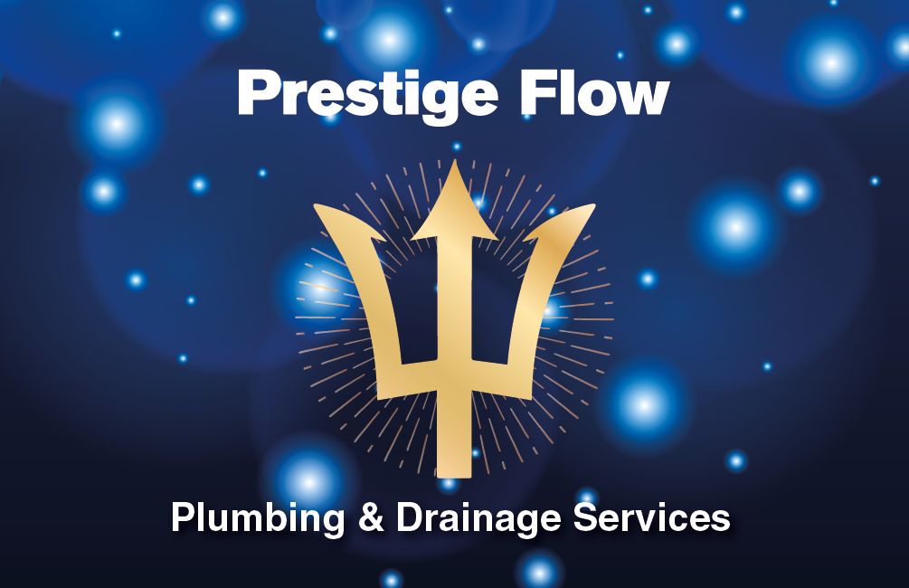 Prestige Flow Ltd logo