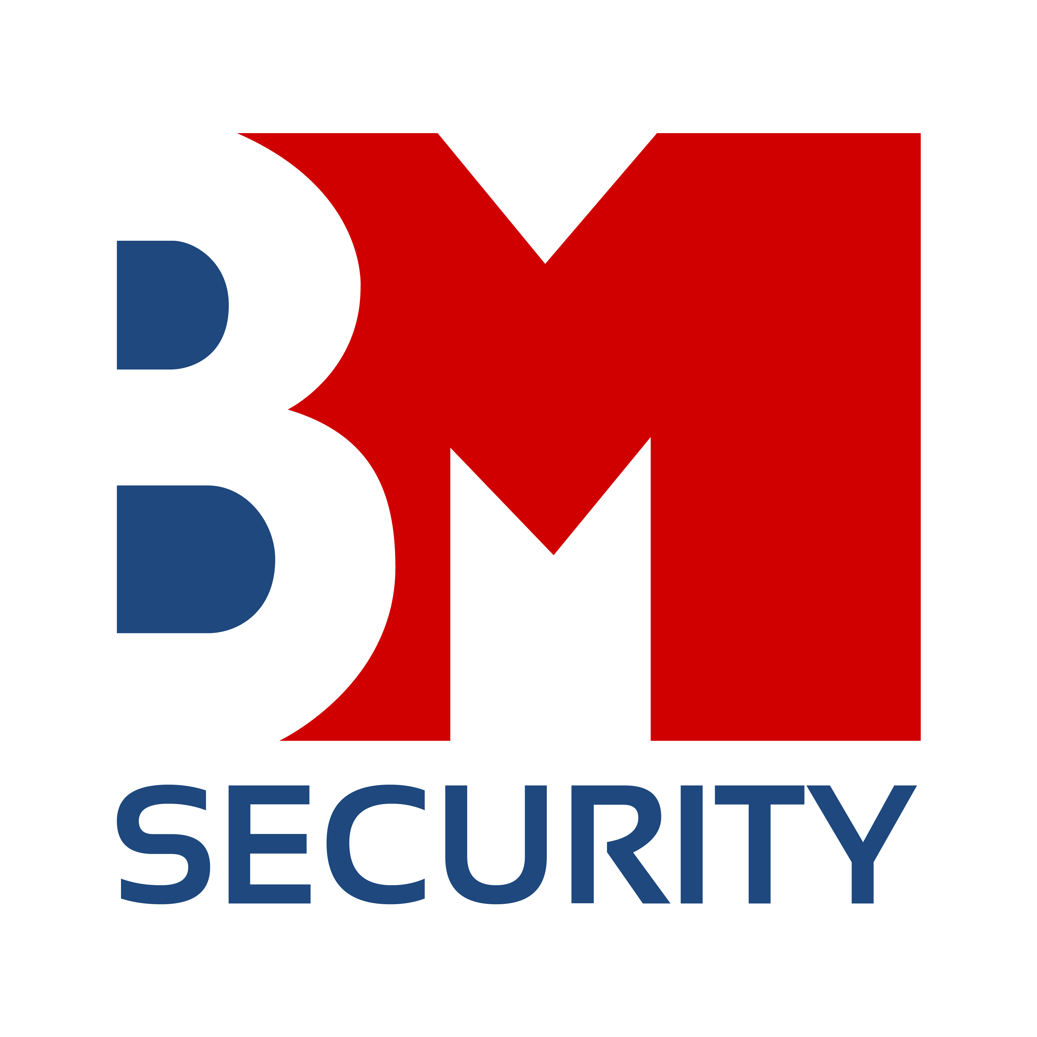 BM Security Ltd logo